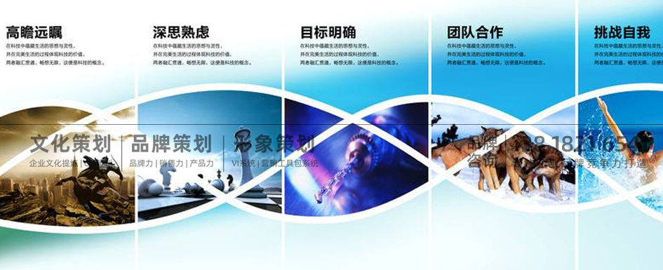 企业文化_组织文化