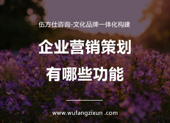 2.jpg 企业营销策划